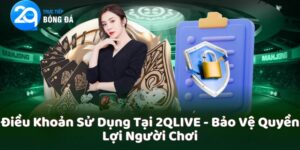 Điều Khoản Sử Dụng Tại 2QLIVE